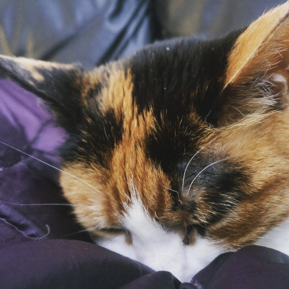 Meet your Posher, Lisa - Picture 2 of 3